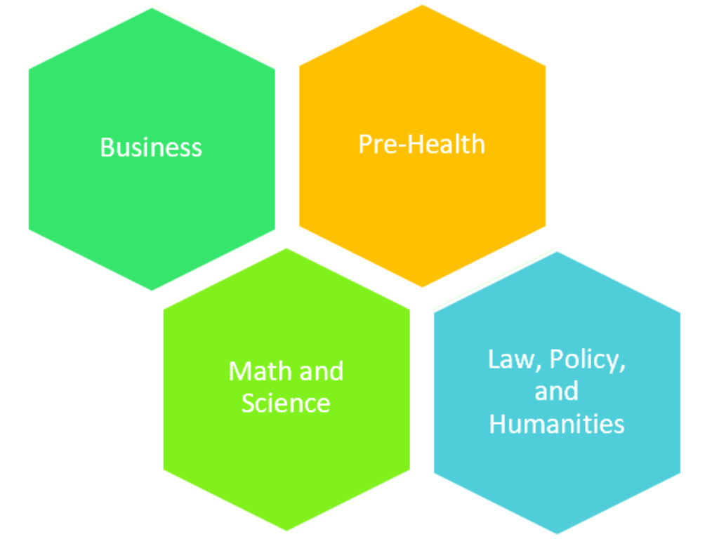 Graphic representing the different areas a council might be focused on. The examples include: Business, Pre-Health, Math and Science, and Law, Policy, and Humanities.